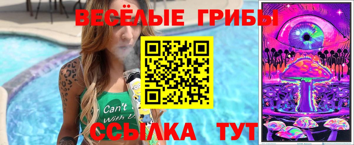 Галлюциногенные грибы GOLDEN TEACHER  Вход с VPN  Ковров 
